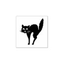 Recherche de chat noir Halloween