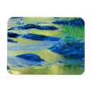 Recherche de aquatique magnets Algue