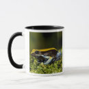 Recherche de vertébré tasses Faune