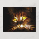 Zoek naar kitty kat posters Ogen