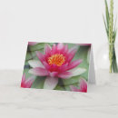 Zoek naar lotus kaarten Meditatie