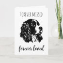 Zoek naar verlies van huisdier kaarten Hondensympathie