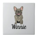 Recherche de bouledogue carreaux Mignon