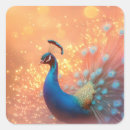 Recherche de plumes pastel autocollants Paon