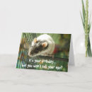 Zoek naar ratten kaarten Grappig