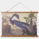 Recherche de la louisiane art Oiseau