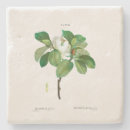 Zoek naar redoute onderzetters Bloemen