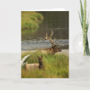 Recherche de yellowstone vœux cartes Animal