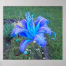 Recherche de turquoise posters Violet