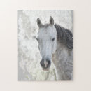 Recherche de portrait équestre puzzles Nature
