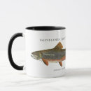 Recherche de poissons de truite tasses Illustration