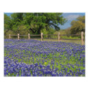 Recherche de le texas photographie Fleurs