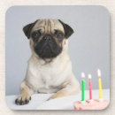 Zoek naar pug onderzetters Dier