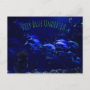 Recherche de poissons tropicaux cartes postales Poisson tropical