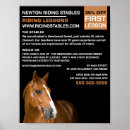 Recherche de équitation Chevaux