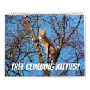 Recherche de kit bureau fournitures Animal