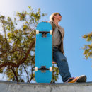 Recherche de ciel skateboards Pour tous