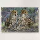 Recherche de cheetah puzzles Nature