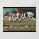Recherche de hund cartes postales Chien