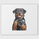 Recherche de chien loup papier cadeau Chiot