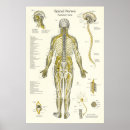 Zoek naar zenuwen posters Nerveus