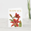 Recherche de amaryllis vœux cartes Élégant