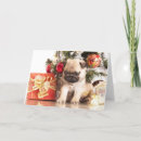 Recherche de blaireau de noël Enfants