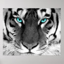 Recherche de tête de tigre posters Noir