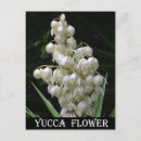 Recherche de le nouveau mexique cartes postales Fleur