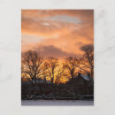 Zoek naar yuletide briefkaarten Sneeuw