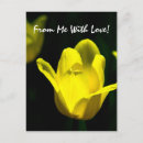 Recherche de tulipe jaune cartes postales Nature