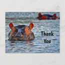 Recherche de hippopotame vœux cartes Animal