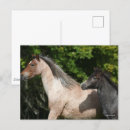Recherche de tête de cheval cartes postales Exécution