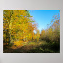 Zoek naar herfstbos posters Herfstbomen