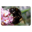 Recherche de bourdons magnets Pour tous
