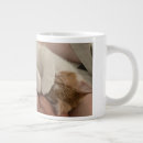 Recherche de bébé chat tasses Minou