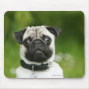 Zoek naar headshot muismatten Pug