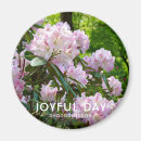Recherche de rhododendron Rose