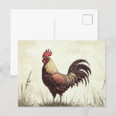 Recherche de coq vintage cartes postales Poulet