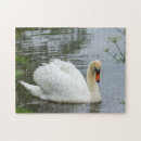 Recherche de muet puzzles Faune