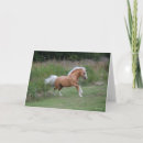 Zoek naar welsh pony kaarten Bob langrish