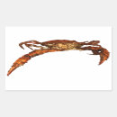 Recherche de maryland crab autocollants Fruits de mer