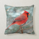 Recherche de cardinal du nord coussins Hiver