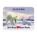 Recherche de polaire magnets Arctique