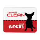 Recherche de jack russel magnets Chien