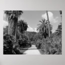 Zoek naar palm trees kunst Palmen