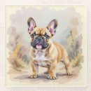 Recherche de bouledogue français bar Animaux