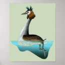 Zoek naar fuut posters Vogel