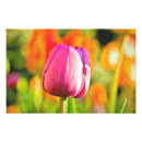 Zoek naar gele tulpen posters Paars