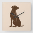 Recherche de ratons laveurs horloges Animaux